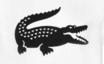 ⁦تيشرت Lacoste⁩ - الصورة ⁦4⁩