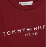 ⁦تيشرت Tommy⁩ - الصورة ⁦3⁩