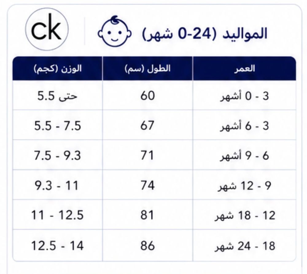 دليل المقاسات
