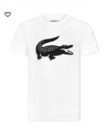 ⁦تيشرت Lacoste⁩ - الصورة ⁦6⁩